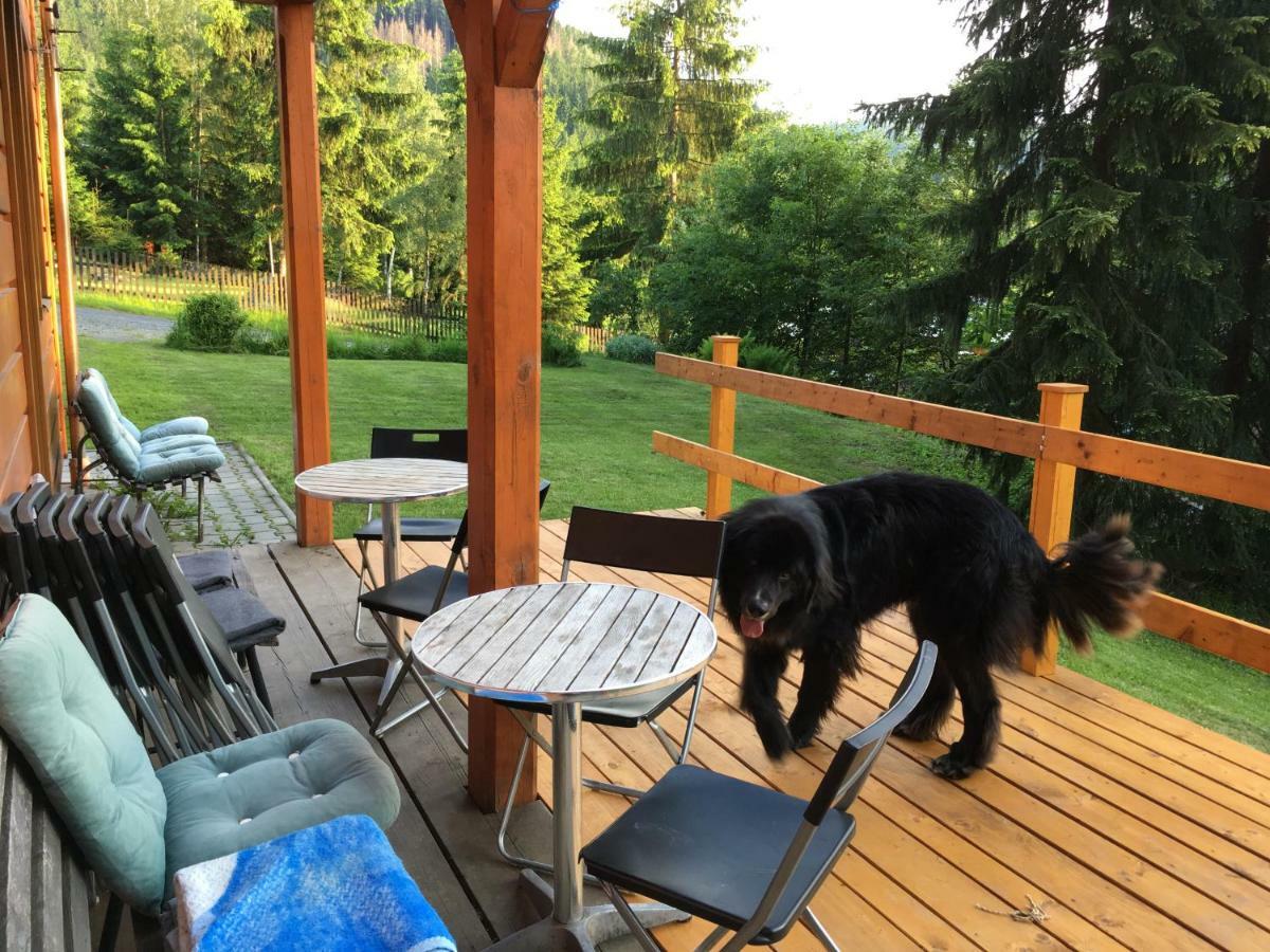 Marta Chalet *